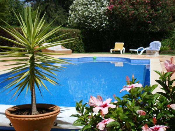 Pool Terrace Renovation in Monument